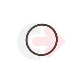 TESNIACI KRÚŽOK OZUBENÉHO KOLESA VOLVO V976041