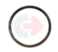 WIENIEC KOŁA ZAMACHOWEGO