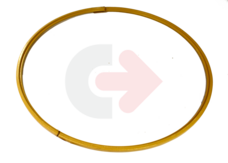 POISTNÝ KRÚŽOK VOLVO V4781750